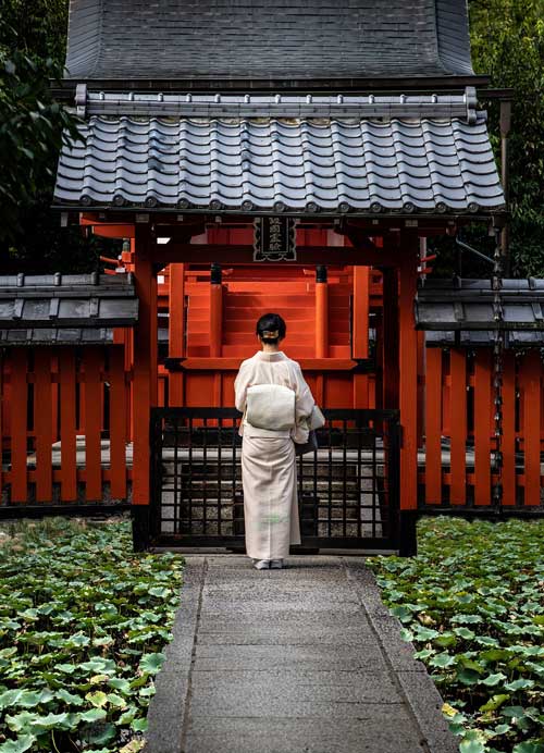 Tour del Giappone da Tokyo a Kyoto