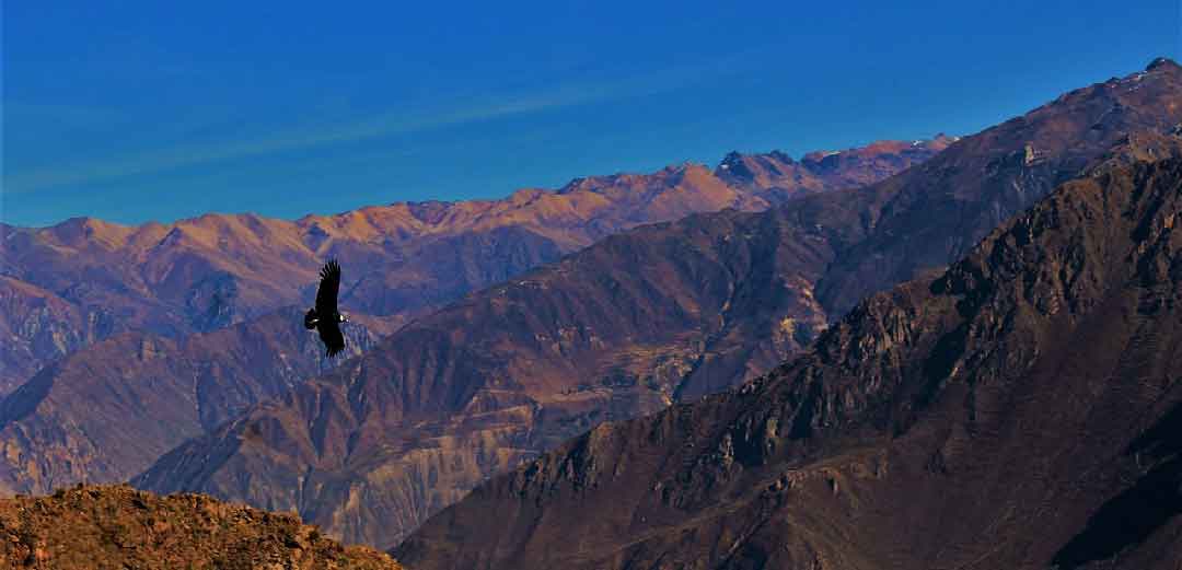 Tour Peru classico con Colca