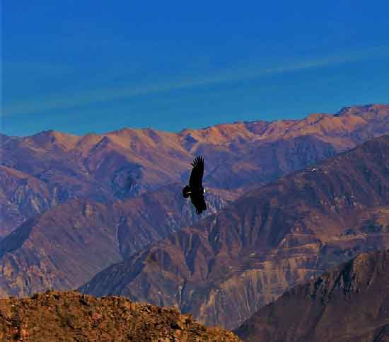 Tour Peru classico con Colca